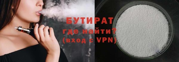 шишки Новодвинск