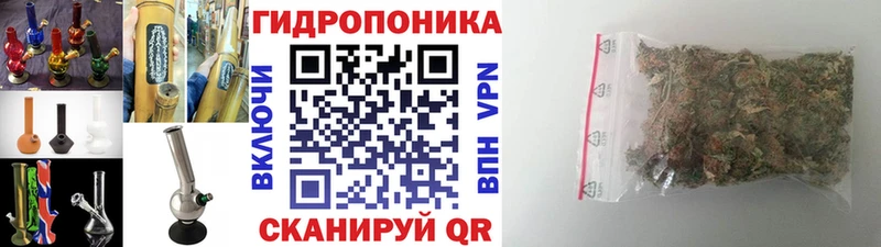 Бошки марихуана семена  где найти наркотики  Руза 